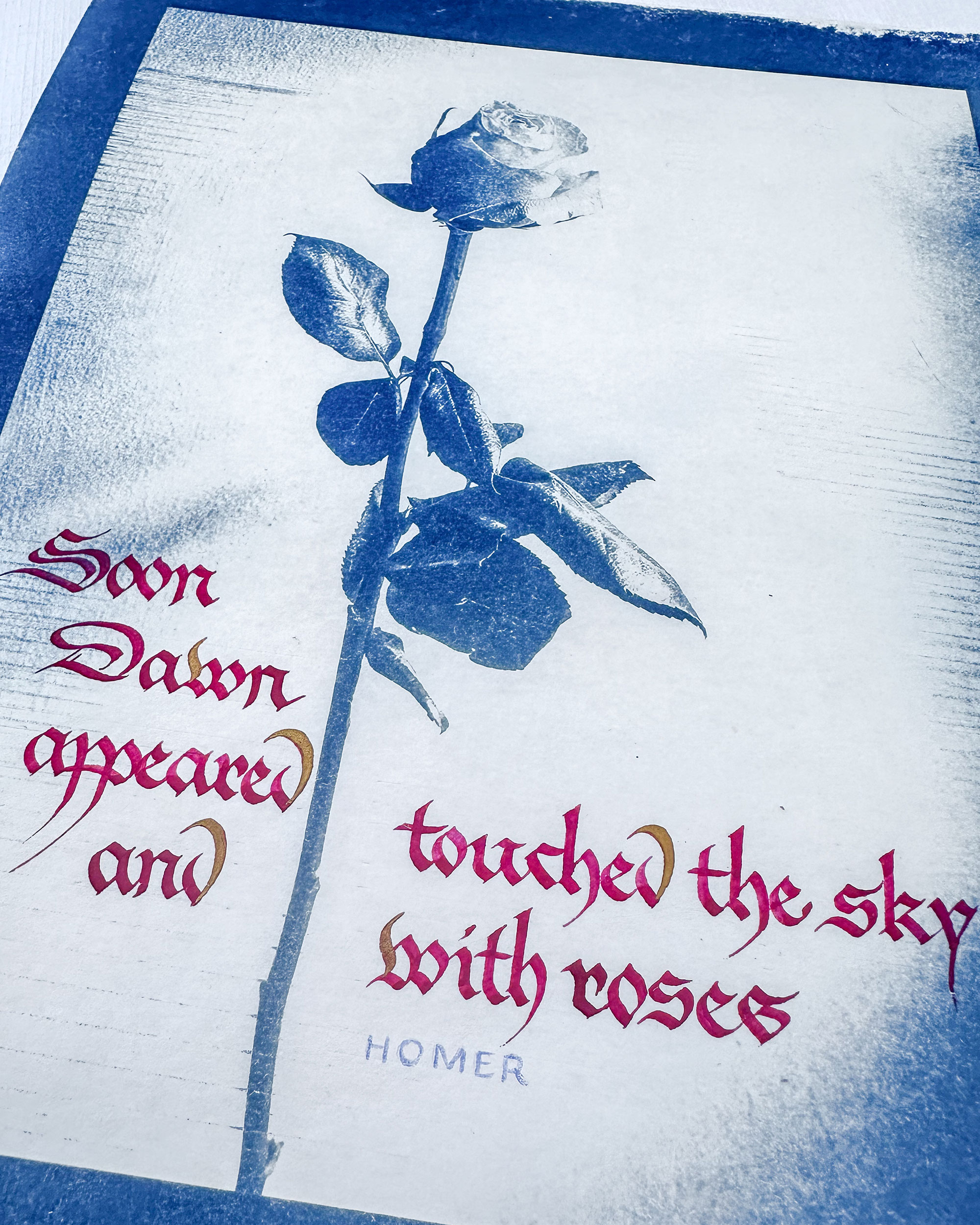 A cyanotype image of a single rose surrounded by gothic calligraphy that says, "Soon Dawn appeared and touched the sky with roses," a quote by Homer.