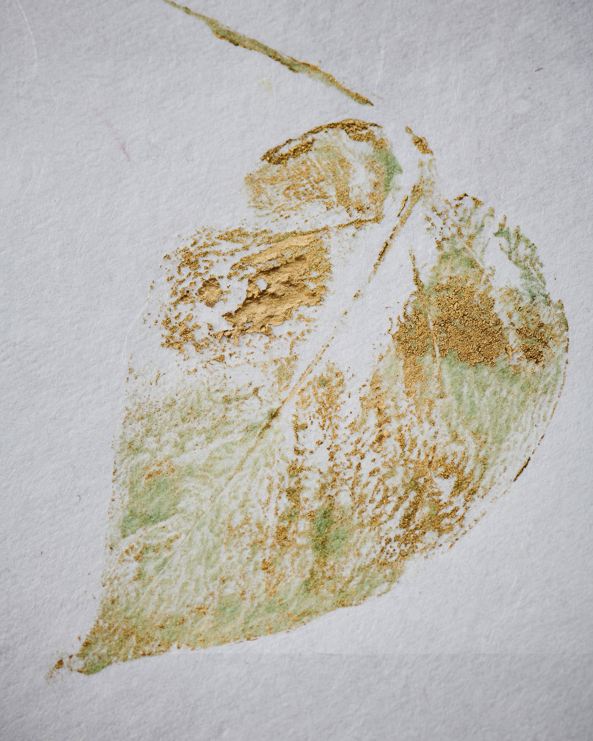 A hand-printed pothos leaf using green and gold ink on recycled white silk paper